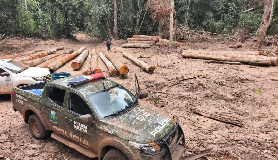 Batalhão Ambiental da PM apreende mais de 174 m³ de madeira ilegal durante fiscalização em Marcelândia