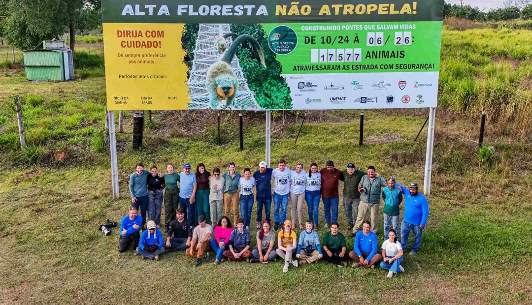 Prefeitura amplia ações de proteção à fauna e fortalece projeto de travessia segura de primatas em Alta Floresta