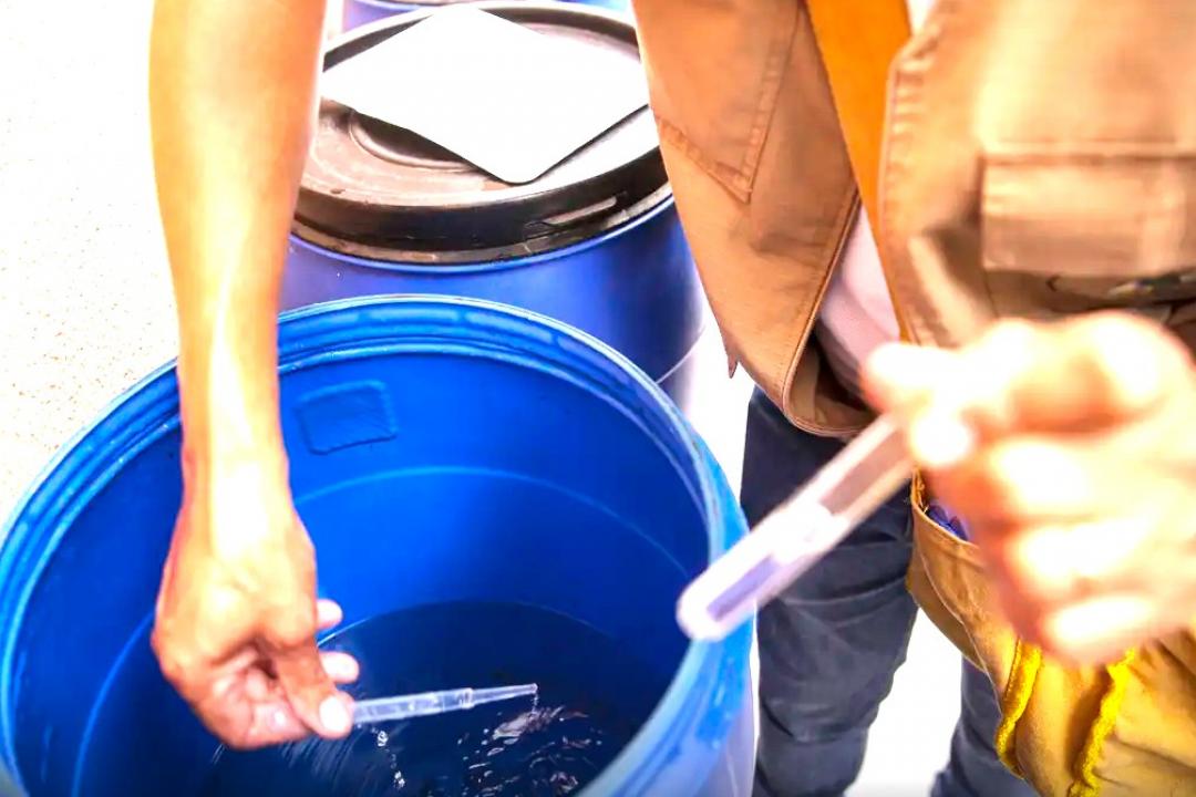 Saúde alerta para aumento dos casos de dengue e chikungunya em MT