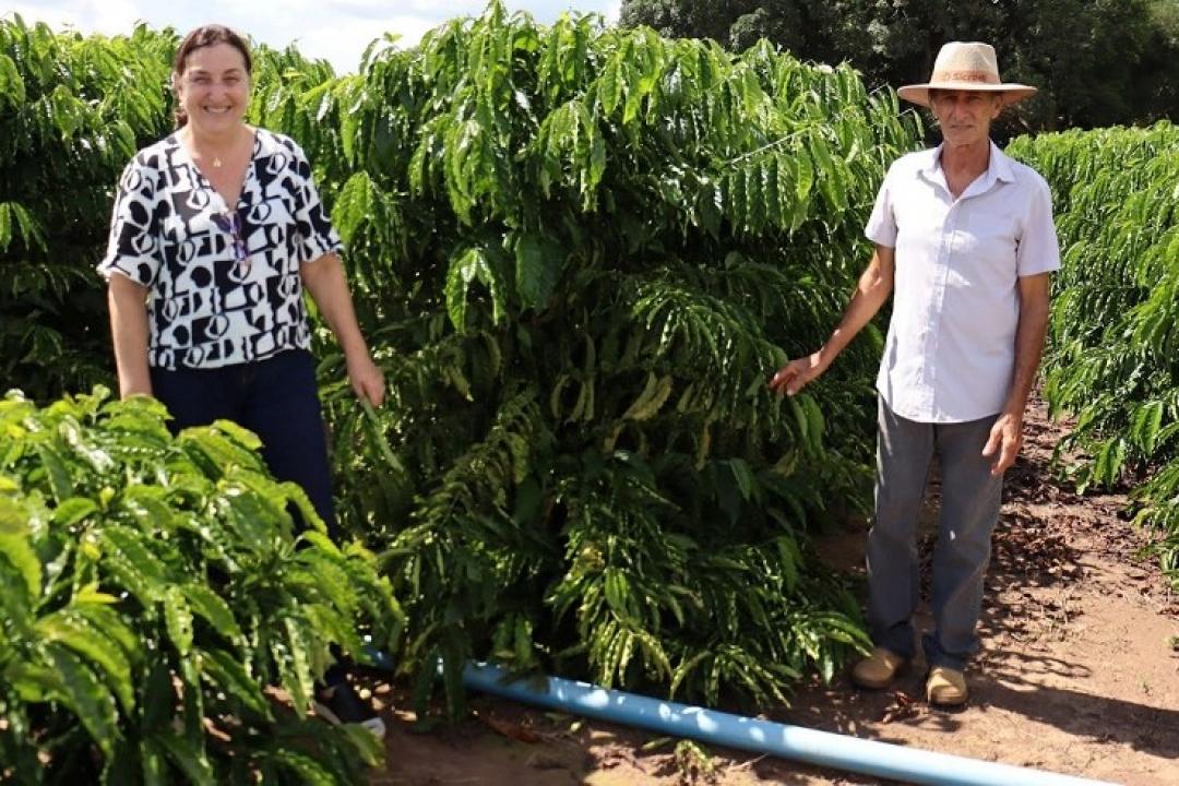 Projeto iniciado em 2022 está finalizando com resultados expressivos para os cafeicultores de Alta Floresta