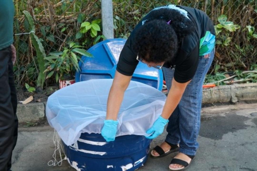 Mato Grosso tem mais de 80% dos óbitos por chikungunya no país