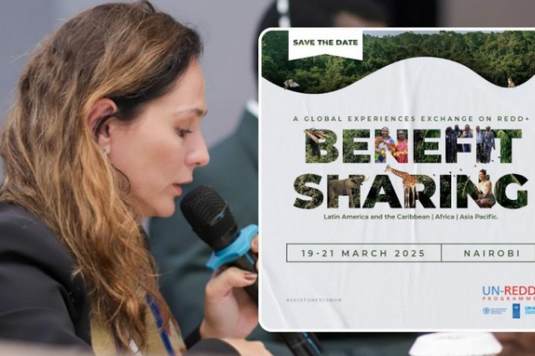 Programa REM MT apresenta desafios e aprendizados sobre REDD+ em intercâmbio global