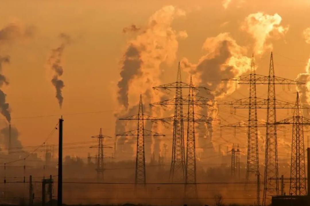 Termina etapa municipal para Conferência Nacional do Meio Ambiente