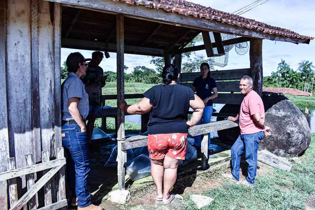 Secretaria de Agricultura e Pecuária distribui alevinos para piscicultores