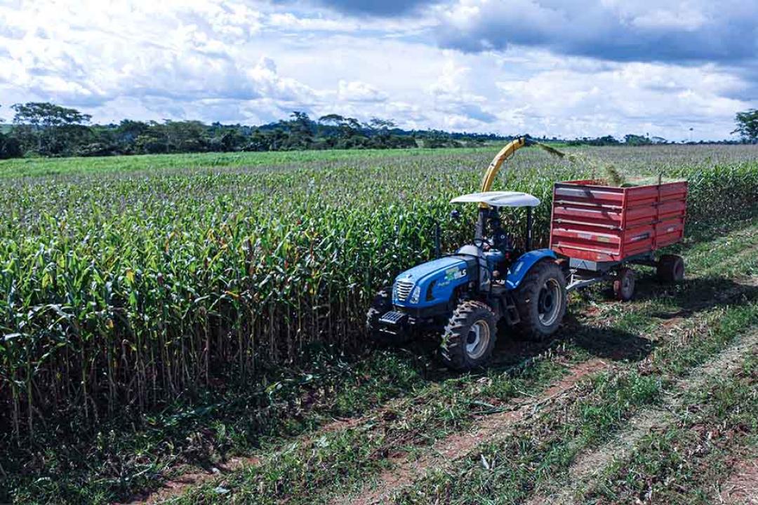 Agricultura familiar recebe apoio da Administração Municipal para produção de silagem