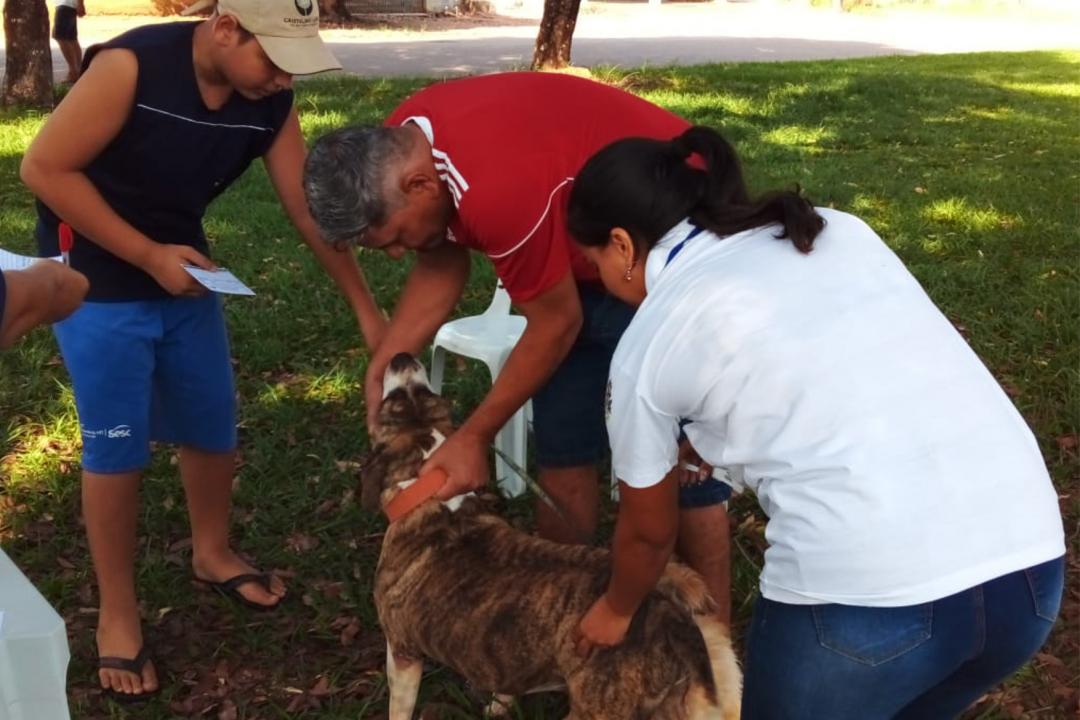 Alta Floresta realiza Campanha Antirrábica Animal 2025 na zona urbana