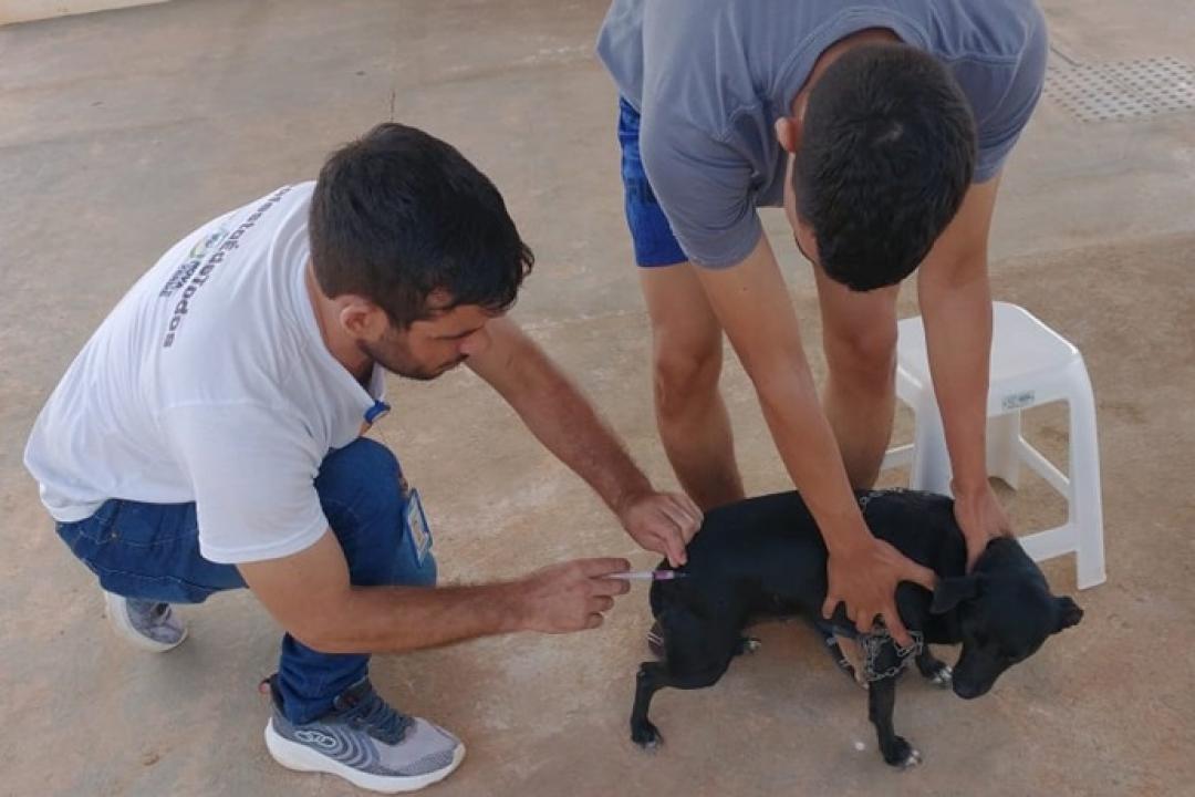 Nova Monte Verde promove Campanha de Vacinação Antirrábica