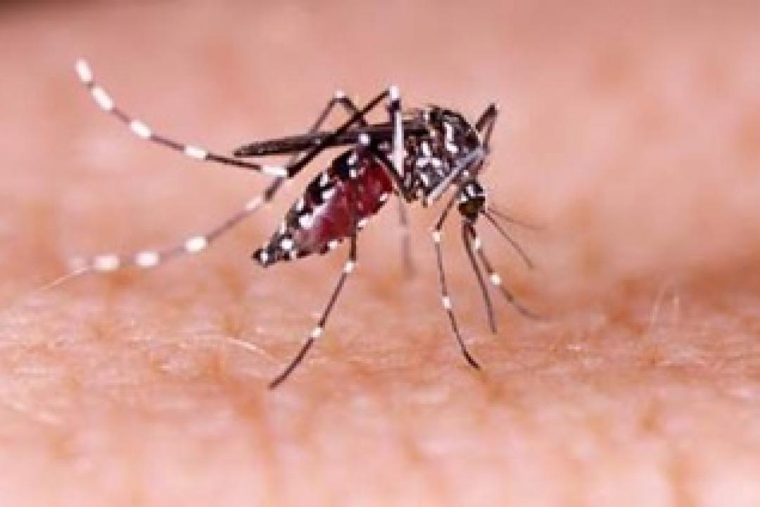 Governo federal prevê início do pagamento de indenizações a vítimas do Zika ainda em setembro