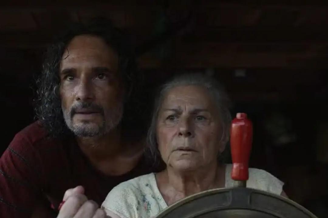 Público de filmes brasileiros no cinema cresce e chega a 11,2% em 2025