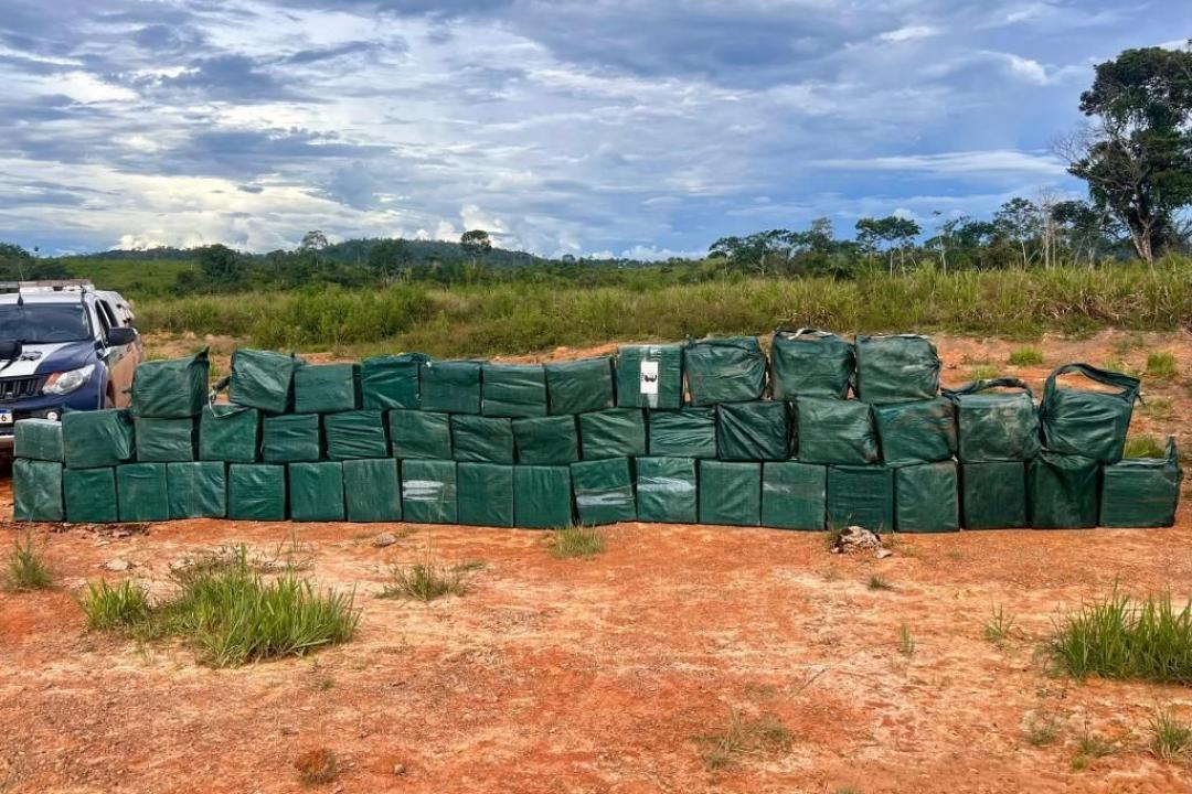 Forças de segurança apreendem 35 toneladas de drogas em 2025 em Mato Grosso