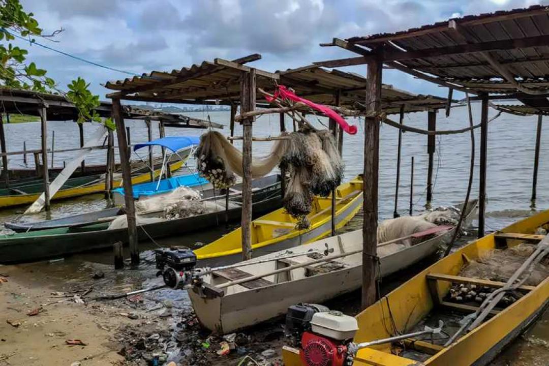 Início do defeso da piracema restringe pesca comercial no país