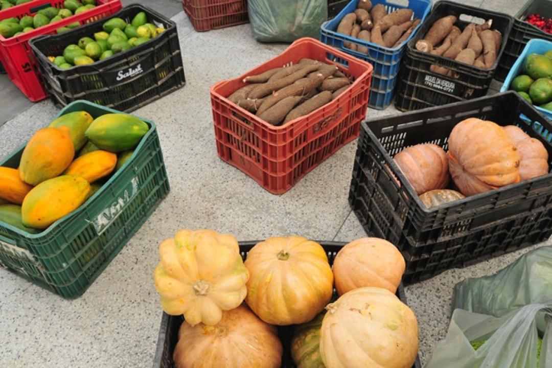 Aprova nova Política de Compras da Agricultura Familiar em Alta Floresta