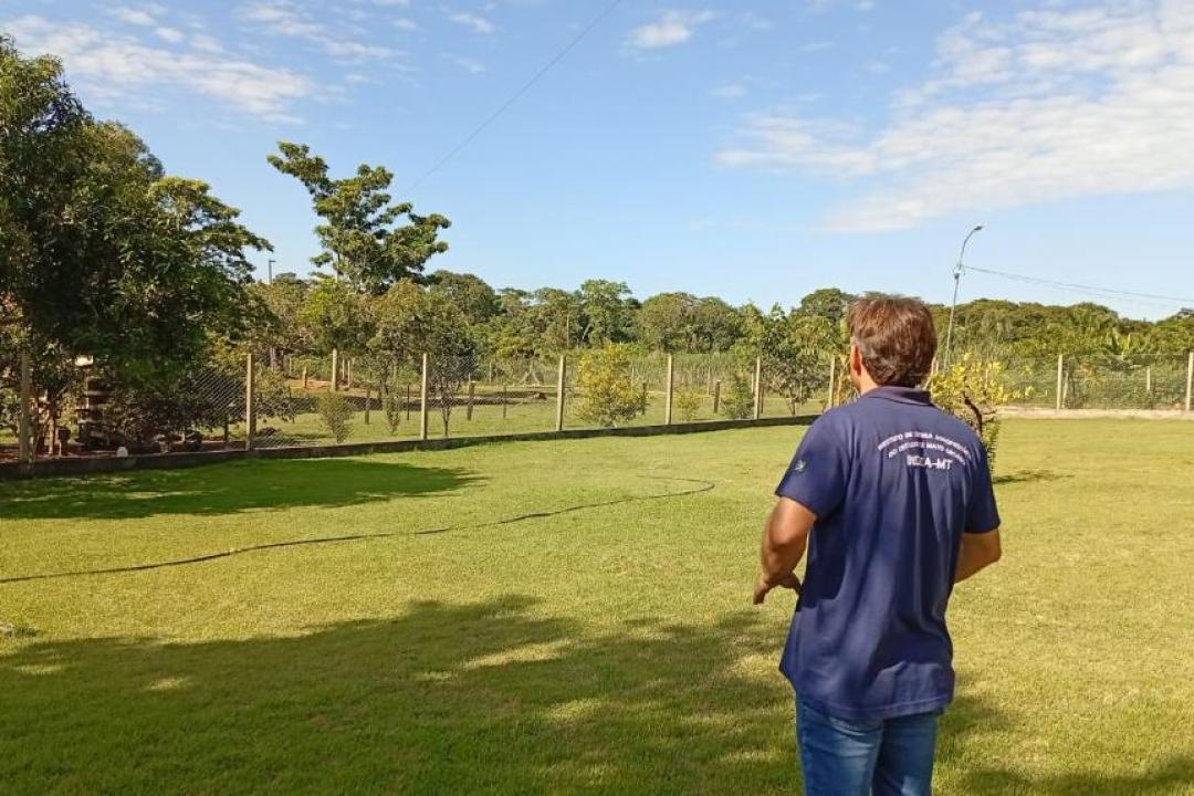 Mapa confirma caso de gripe aviária em Acorizal; equipes do Indea atuam para conter foco