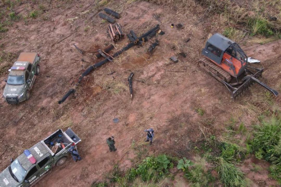 Fiscalizações ambientais da Polícia Militar aplicaram R$ 1,1 bilhão em multas