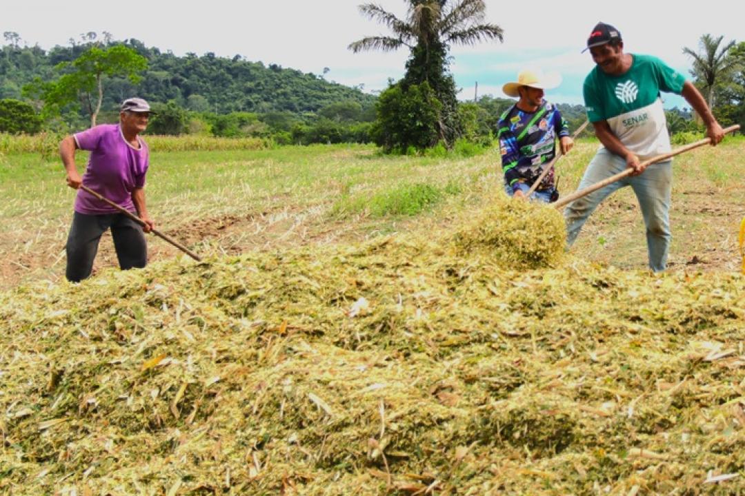Rota do Leite: Fortalecendo a Produção Leiteira em Nova Monte Verde