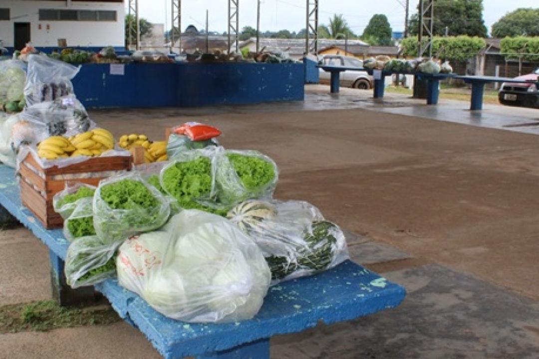 Prefeitura de Nova Monte Verde fortalece agricultura familiar com assistência técnica, inovação, apoio à produção e planejamento integrado