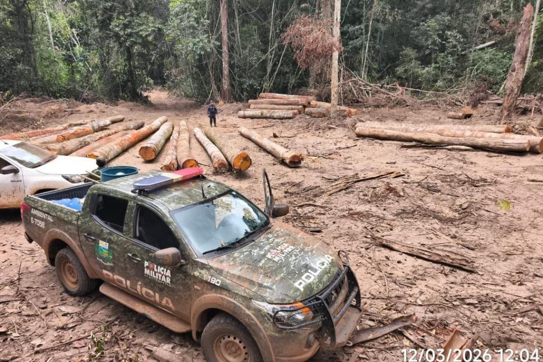 Batalhão Ambiental da PM apreende mais de 174 m³ de madeira ilegal durante fiscalização em Marcelândia