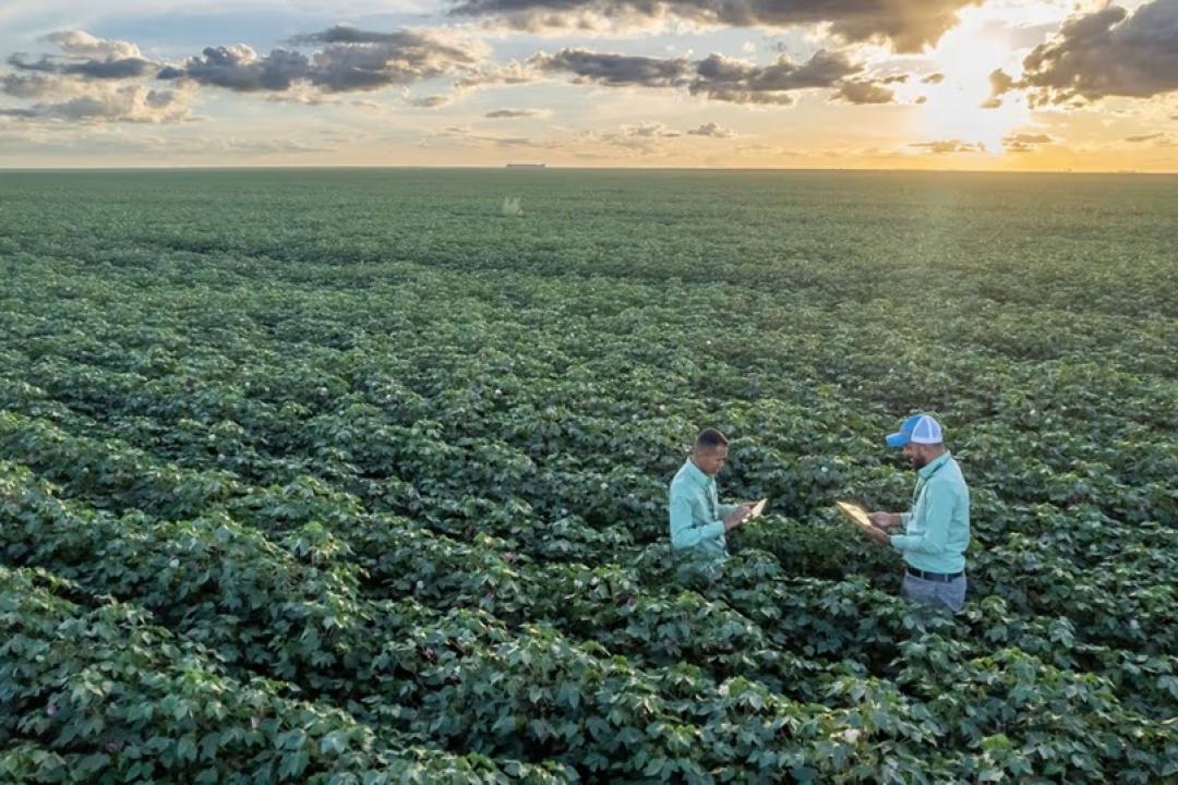 Gigantes do agronegócio brasileiro apostam 100% em bioinsumos para grãos