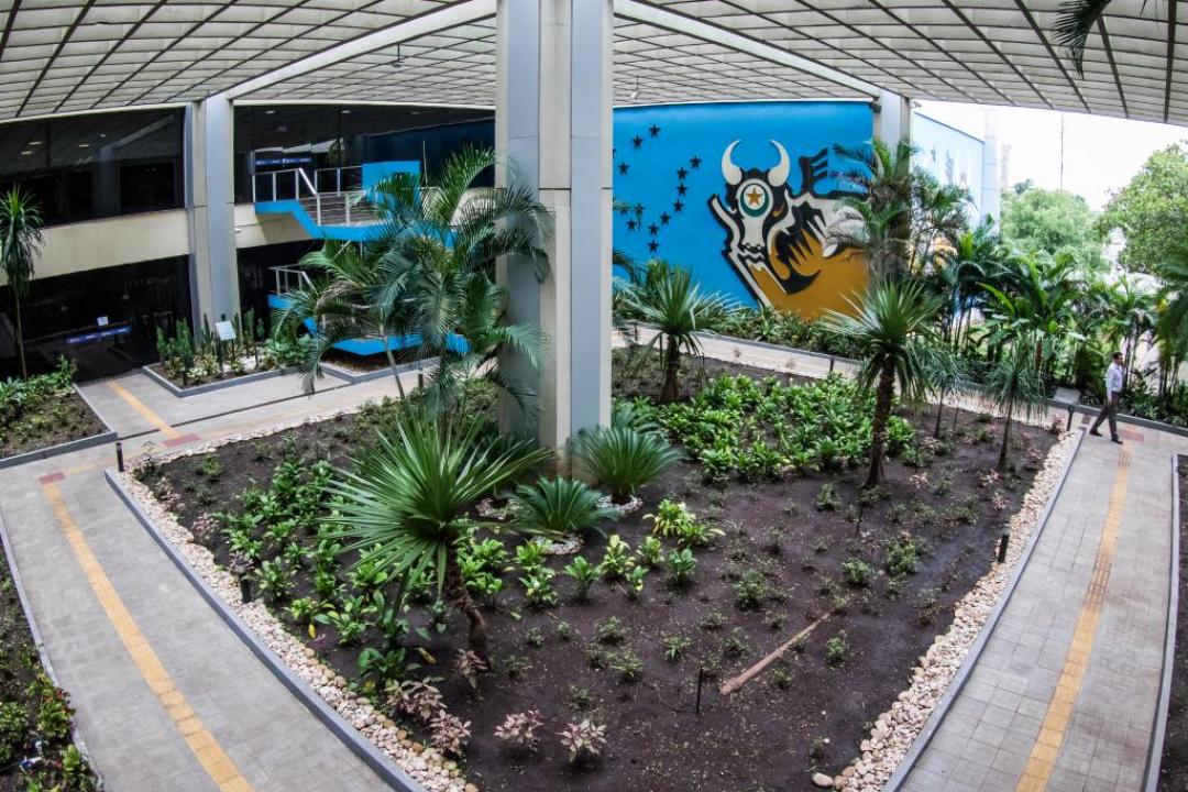 Distribuição gratuita de benefícios é proibida em ano eleitoral, alertam CGE e PGE
