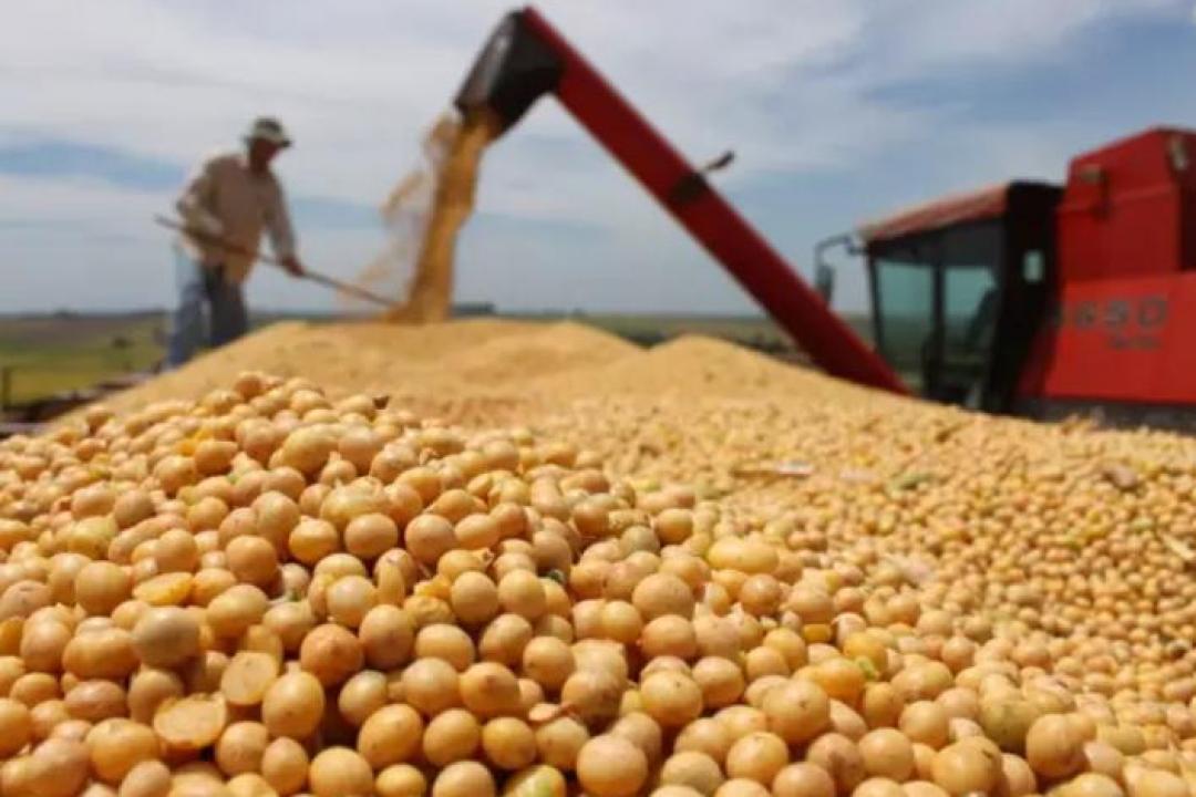 Exportações de grãos crescem no primeiro trimestre de 2026 e impulsionam alta nos fretes no país