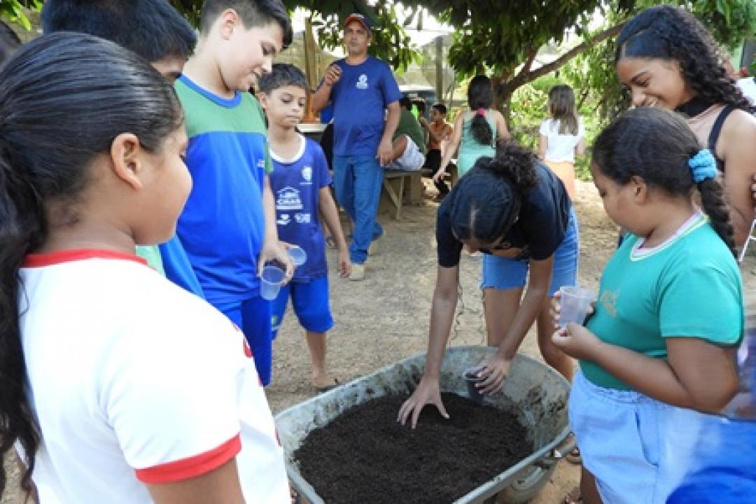 Oficina no Viveiro Municipal incentiva cultivo sustentável e consciência ambiental