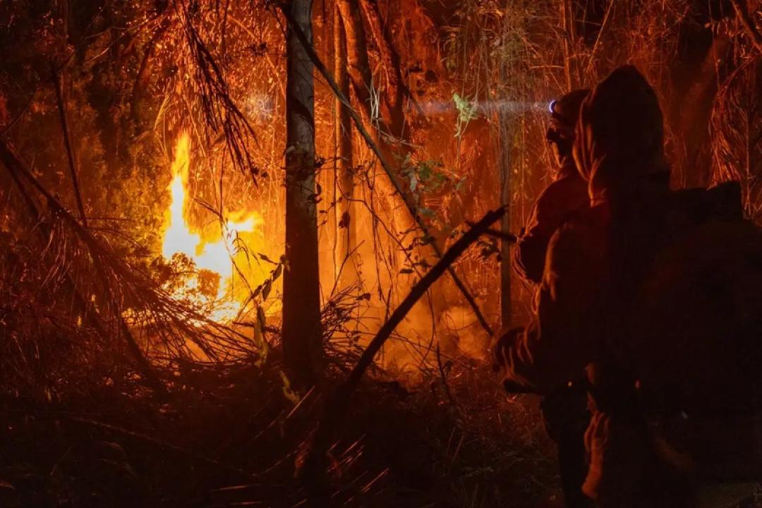 STF cobra ações da União e estados da Amazônia e Pantanal para prevenir incêndios em meio ao avanço do El Niño