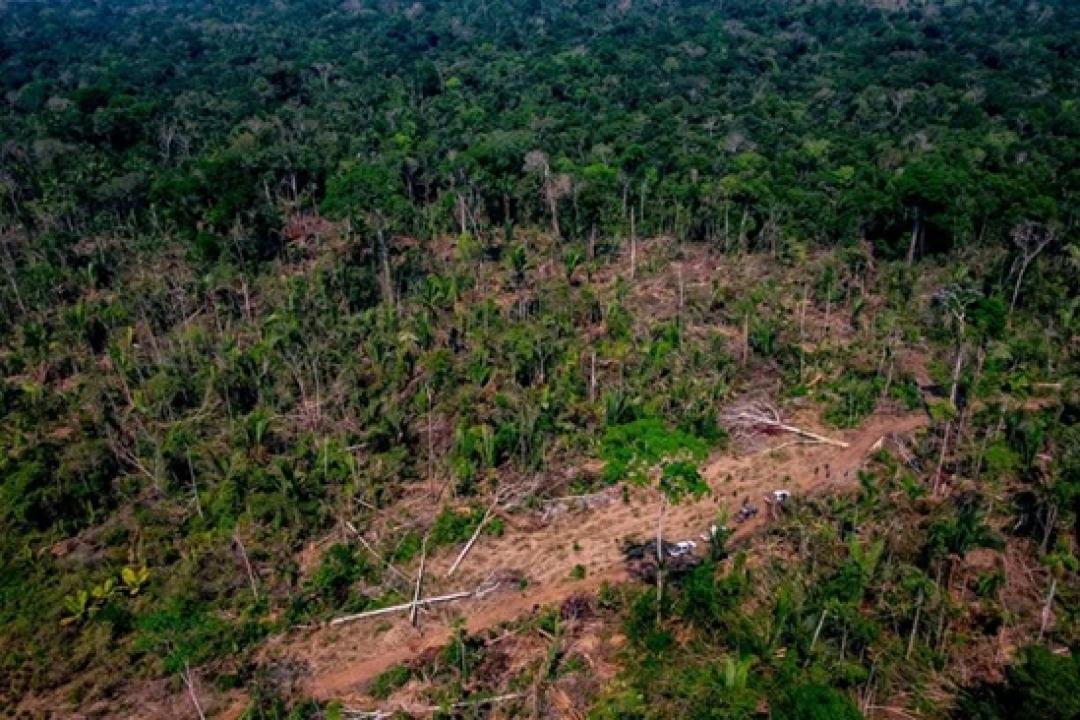 Norte de Mato Grosso concentra municípios em lista federal de monitoramento do desmatamento