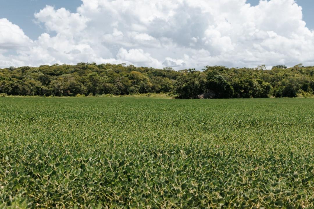 STF homologa Plano Estadual de Regularização Ambiental de MT e destaca evolução do planejamento
