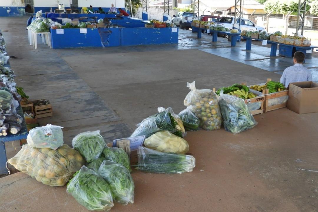 Programa fortalece agricultura familiar e impulsiona geração de renda em Nova Monte Verde