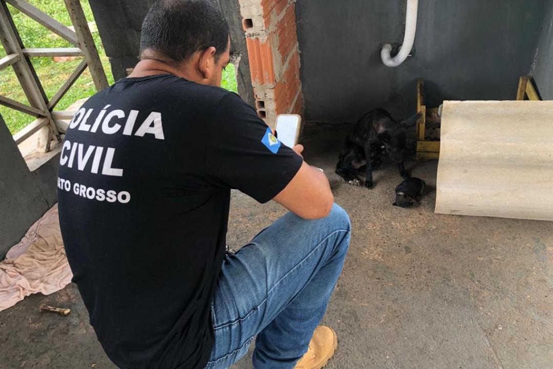 Dema apura denúncias de maus-tratos a animais em Cuiabá e Várzea Grande