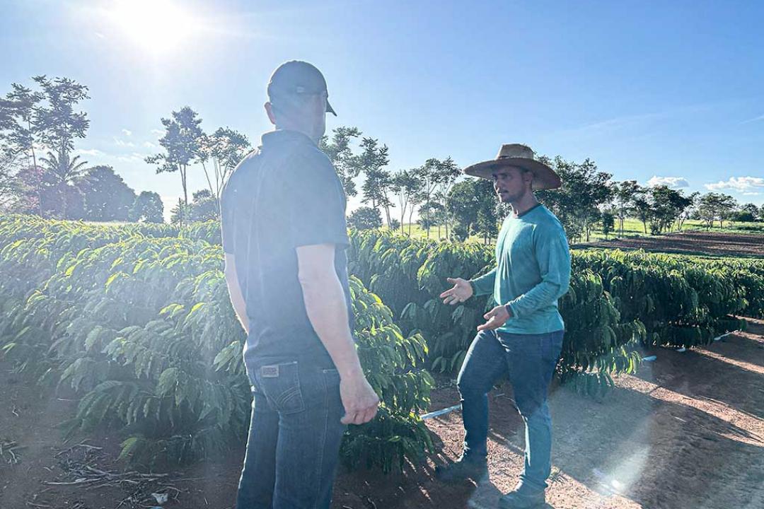 Secretaria de Agricultura e Pecuária supera meta de assistência técnica continuada em 39%
