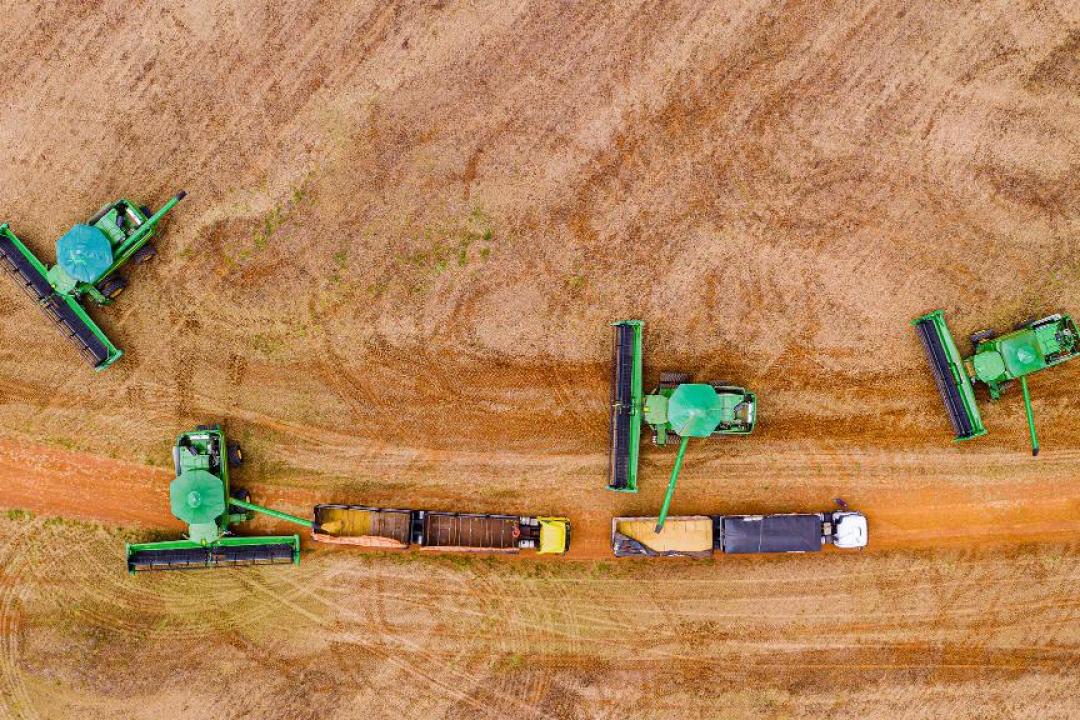Puxada pela soja, produção de grãos em MT deve aumentar 4,4% na safra 2024/2025, estima Conab