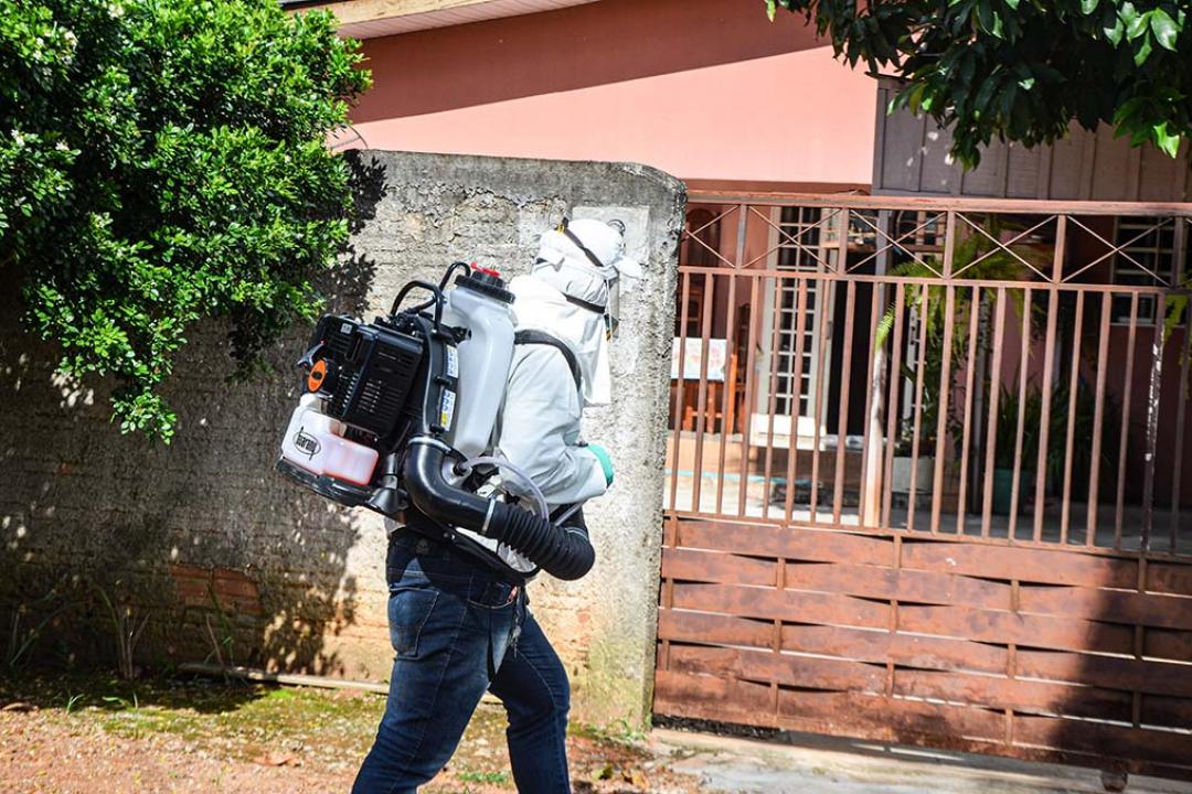 Secretaria de Estado de Saúde divulga dados de monitoramento de infecções transmitidas pelo mosquito Aedes Aegypti