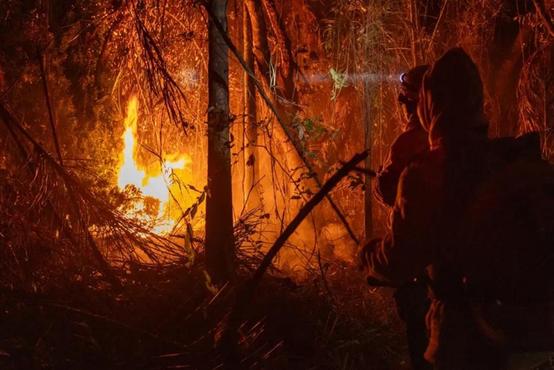 STF cobra ações da União e estados da Amazônia e Pantanal para prevenir incêndios em meio ao avanço do El Niño