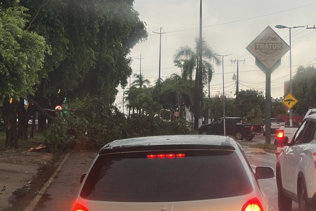 Temporal provoca danos e deixa cerca de 19 mil pontos de energia sem fornecimento em Alta Floresta