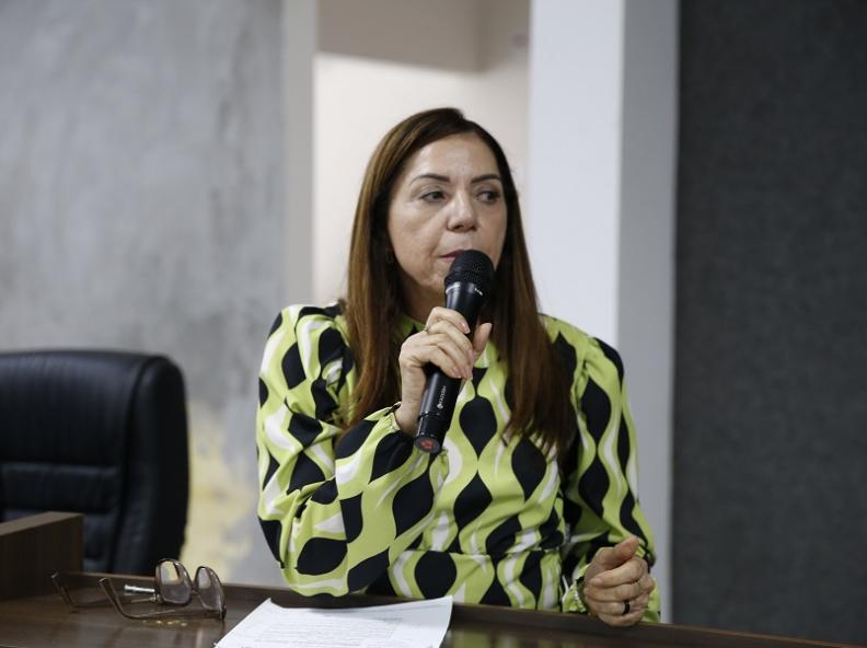 Vereadora Elisa Gomes destaca diálogo e parcerias para o desenvolvimento regional