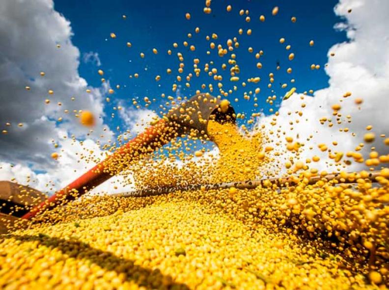 Ipea revisa de 13,2% para 15,5% o crescimento do PIB agro em 2023