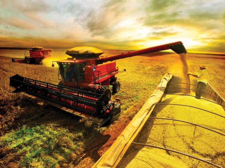 Conab estima safra recorde de 325,7 milhões de toneladas
