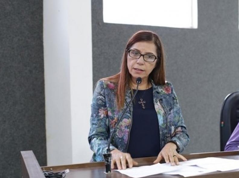 Vereadora Elisa Gomes destaca ações nos setores de infraestrutura e segurança de trânsito em Sessão Ordinária