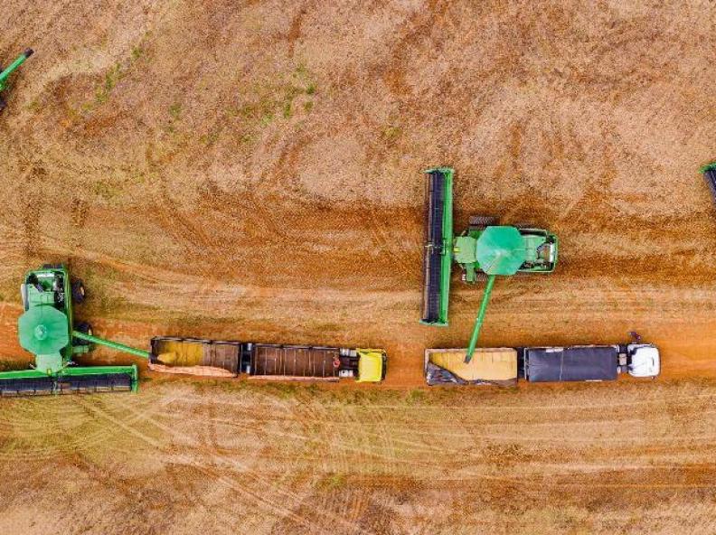 Mato Grosso deverá responder por 30% da safra recorde de grãos no Brasil