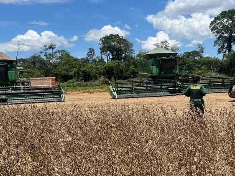 Máquinas agrícolas e mais de 72 mil kg de soja são apreendidos em operação contra desmatamento ilegal em MT