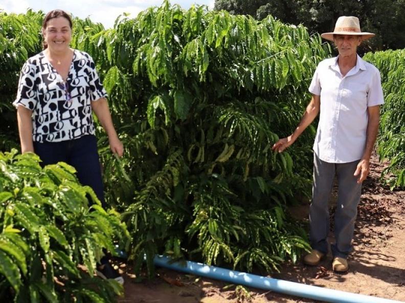 Projeto iniciado em 2022 está finalizando com resultados expressivos para os cafeicultores de Alta Floresta