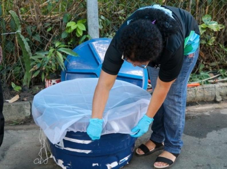Mato Grosso tem mais de 80% dos óbitos por chikungunya no país