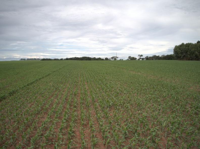 Aprosoja MT envia contribuições para elaboração do Plano Agrícola e Pecuário 2025/2026