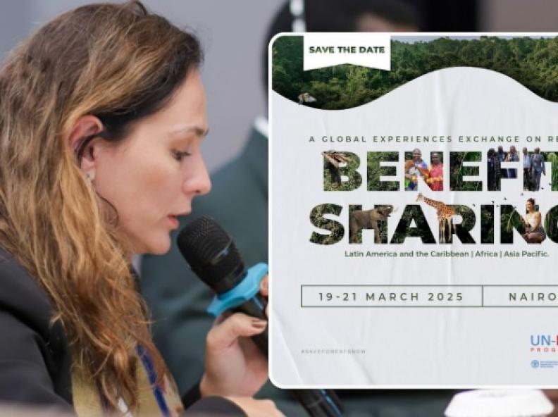 Programa REM MT apresenta desafios e aprendizados sobre REDD+ em intercâmbio global