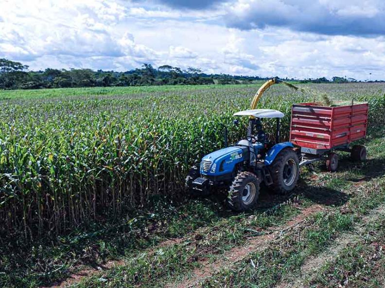Agricultura familiar recebe apoio da Administração Municipal para produção de silagem