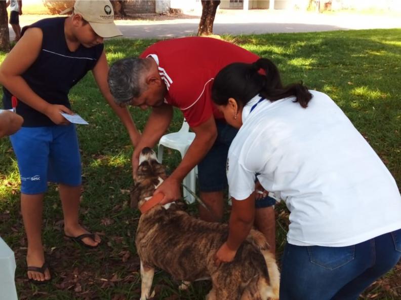 Alta Floresta realiza Campanha Antirrábica Animal 2025 na zona urbana
