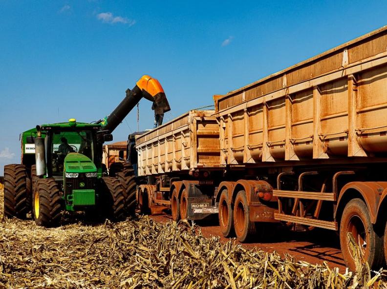 Mato Grosso finaliza colheita da 2ª safra de milho com recorde de produção