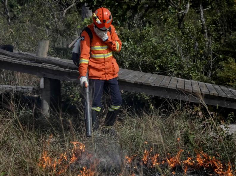 Corpo de Bombeiros combate 15 incêndios florestais em Mato Grosso nesta quarta-feira (17)