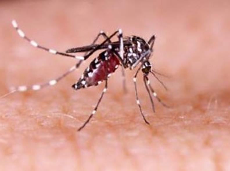 Governo federal prevê início do pagamento de indenizações a vítimas do Zika ainda em setembro